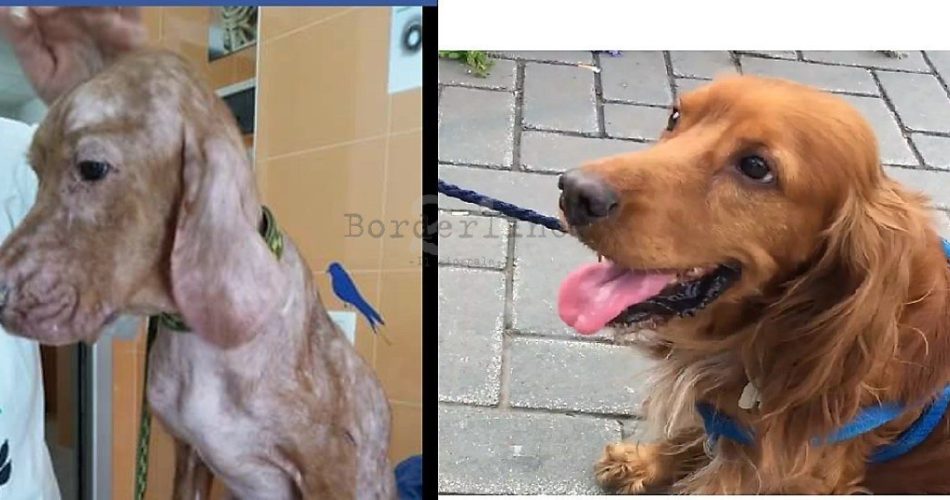 Aron, prima e dopo l'adozione