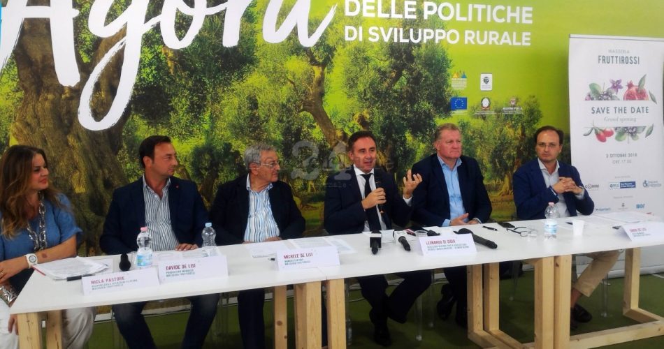 conf stampa frutti rossi