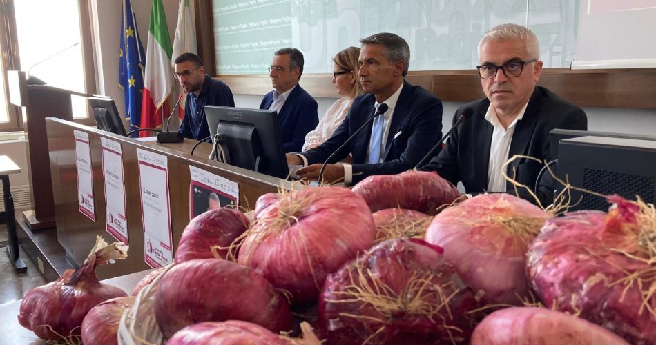 conferenza di presentazione Festa della cipolla rossa di Acquaviva (6)