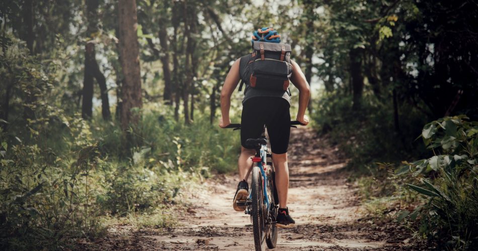 Cyclist On Sunny Day.Bike Adventure Travel Photo