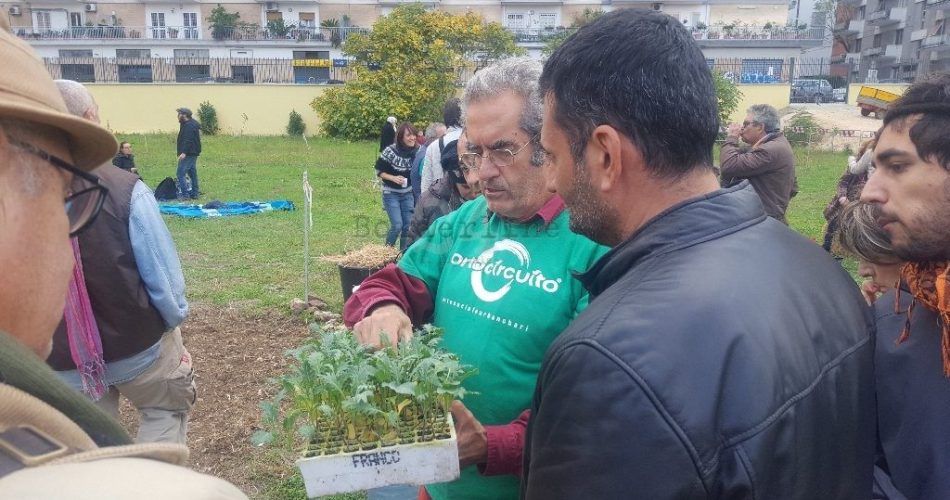 decaro alla ex Rossani