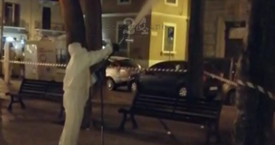 disinfestazione zanzare