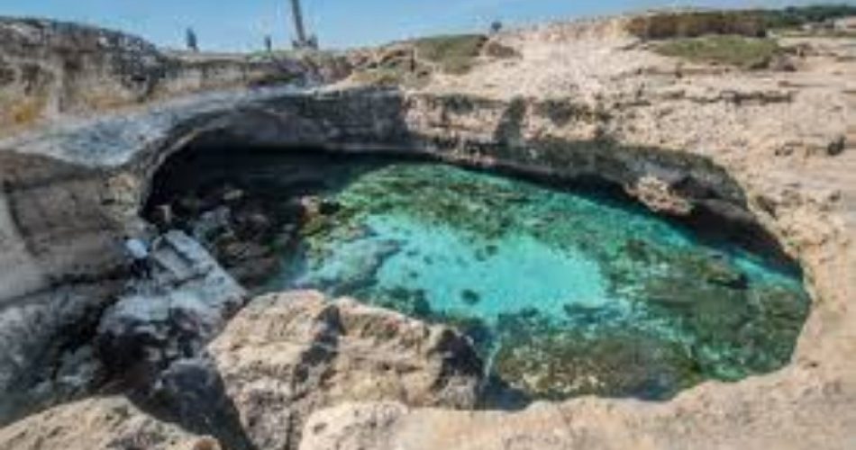 download (1)-800x532