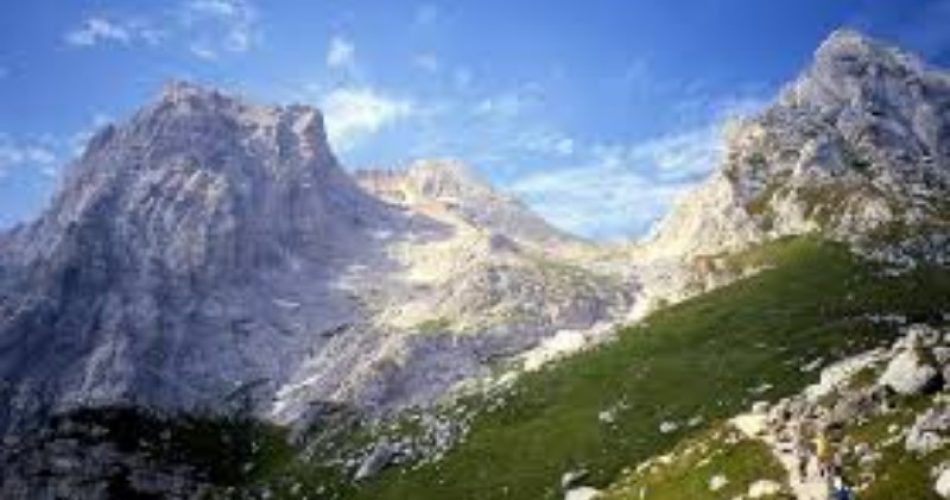 download (5)_copy_800x519