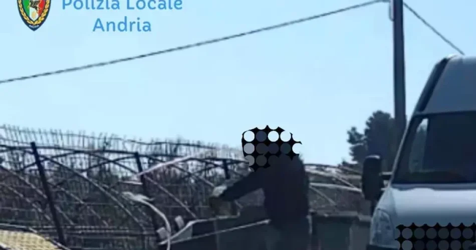 ec92997d2ff1d317d81945bf8826bb2f