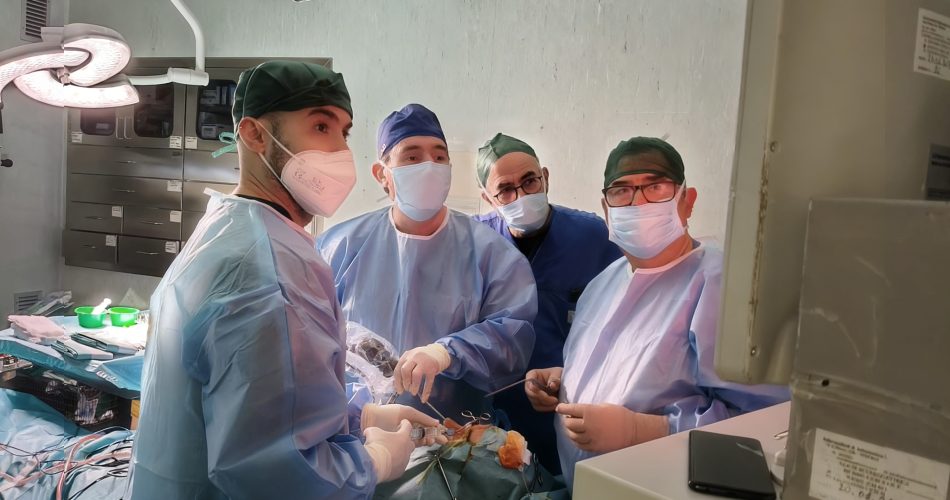 equipe otorinolaringoiatria