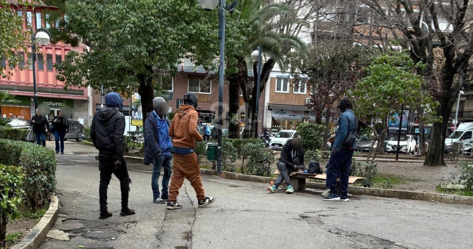 extracomunitari piazza umberto