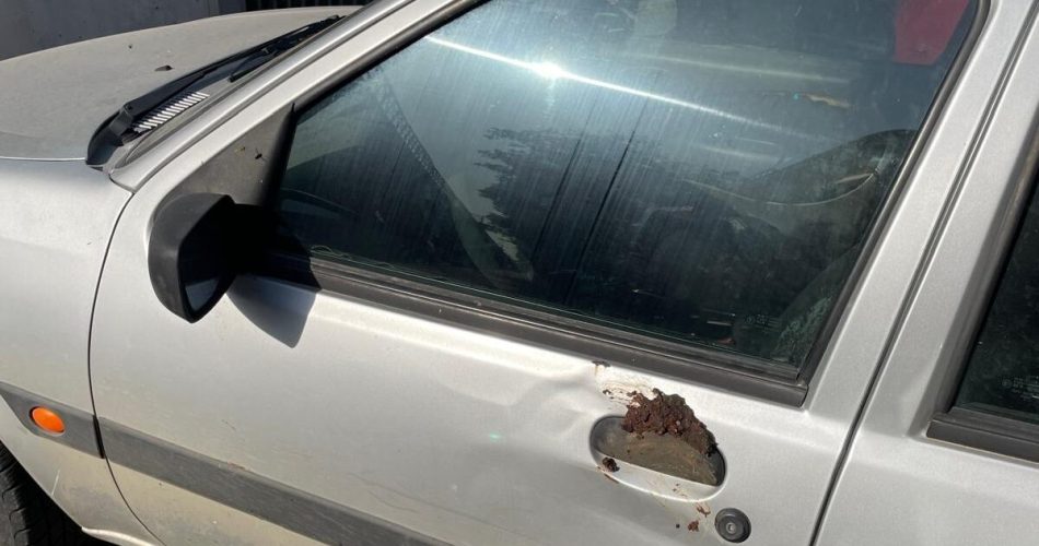 feci auto