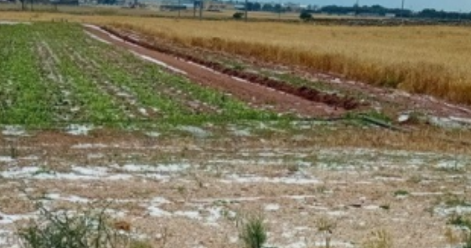 grandinata coldiretti