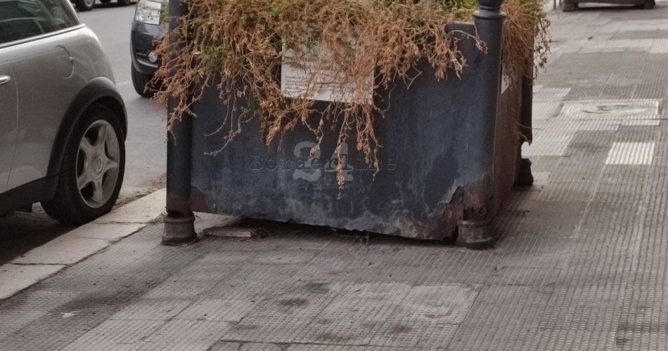 fioriera via Amendola dettaglio 2