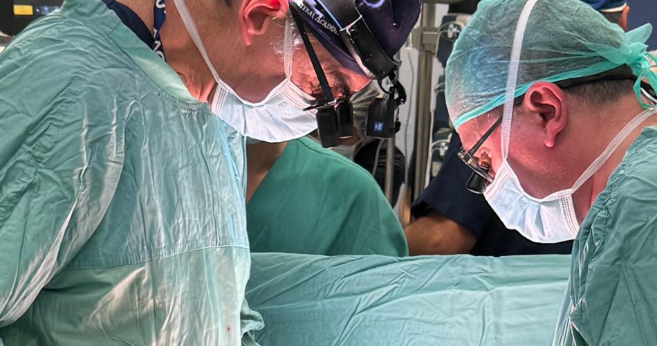 foto Prof. Domenico Paparella