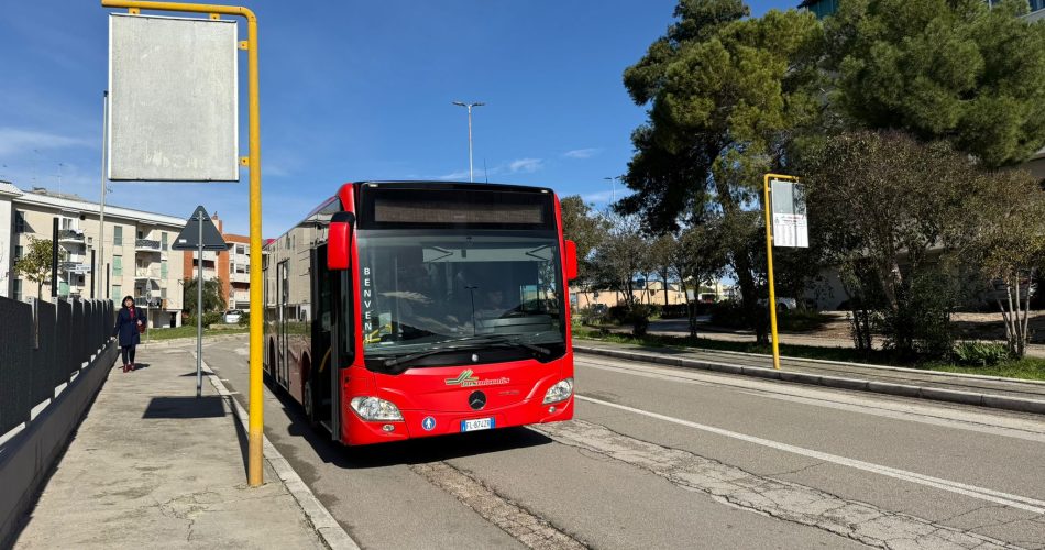 foto-bus-Matera miccolis