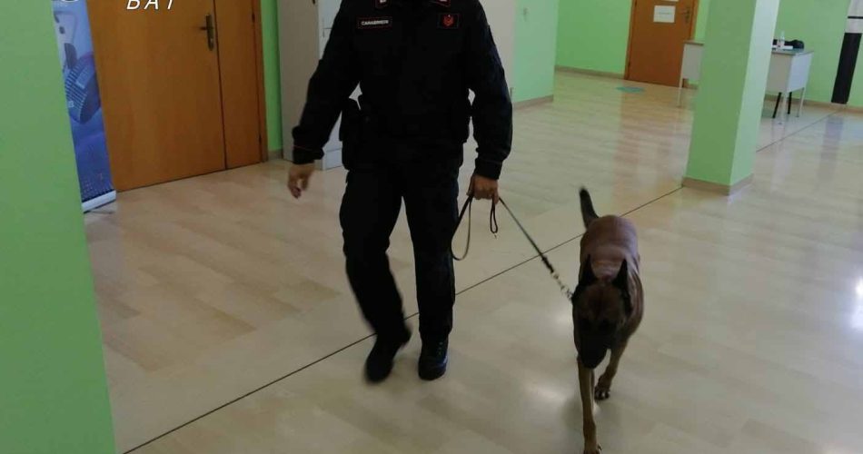 foto cinofili trinitapoli 2