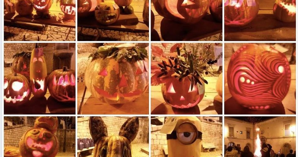 fucacoste zucche collage