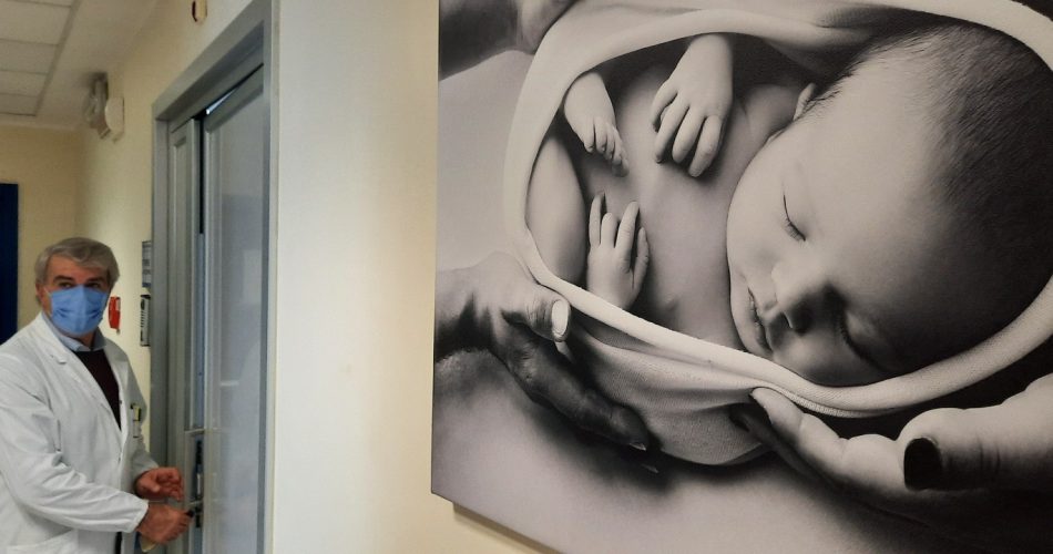 ginecologia di venere 2