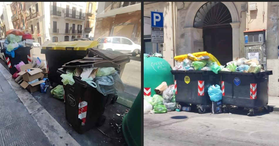 immondizia Piva