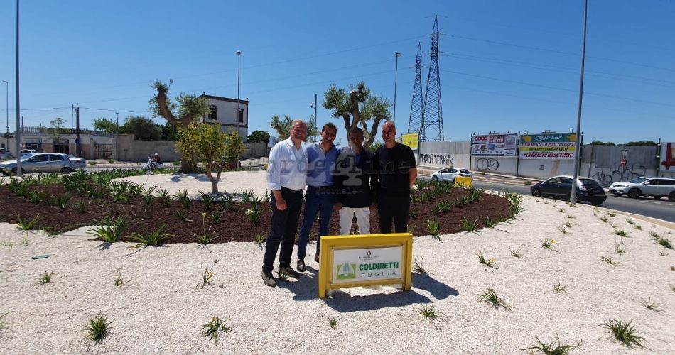 inaugurata la rotatoria di via caldarola affidata a coldiretti_1