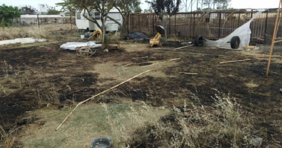 Foto Screen raccolta fondi