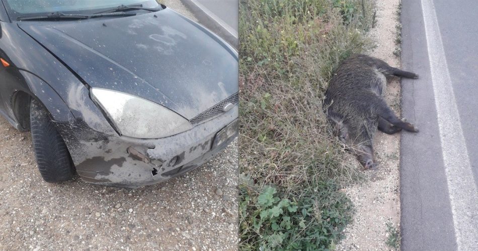 incidente provinciale 13 di Castellaneta