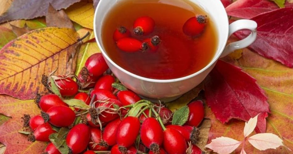 Infuso Di Rosa Canina Ng