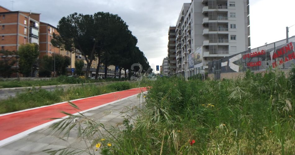 Foto: Facebook Comitato cittadini di Japigia