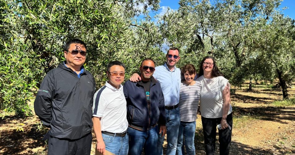 la delegazione cinese 01