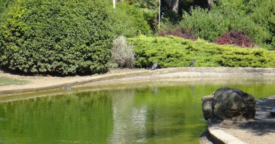 largo 2 giugno (4).JPG