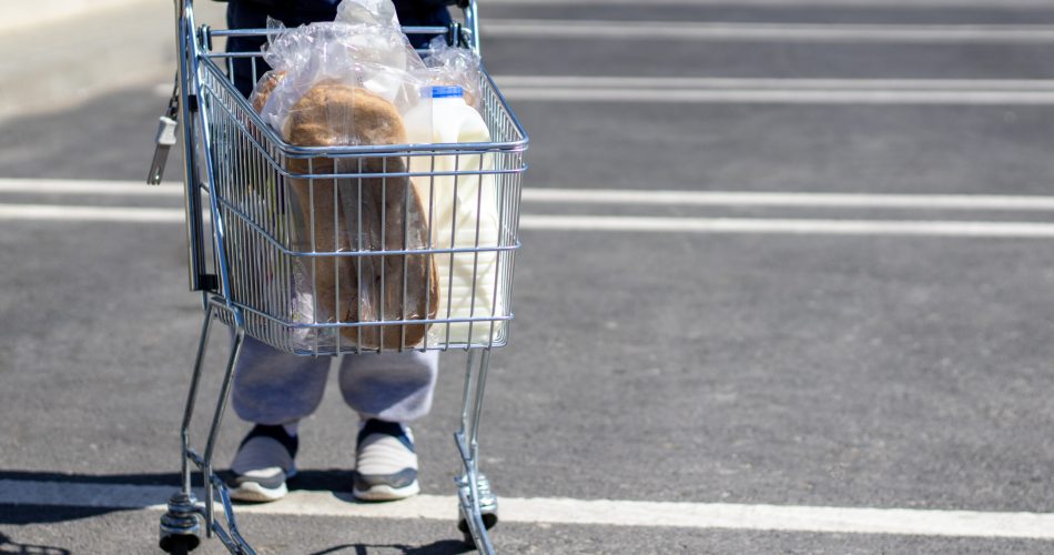 carrello spesa