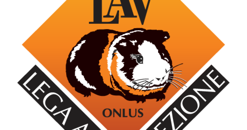 Logo Lav