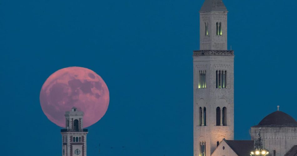 luna fragole
