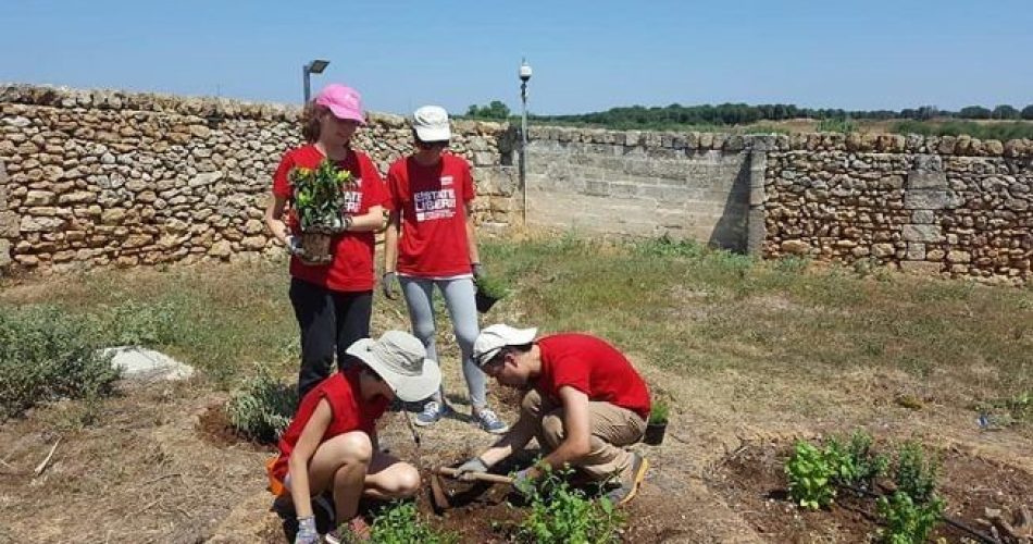 Foto Senzacolonnenews