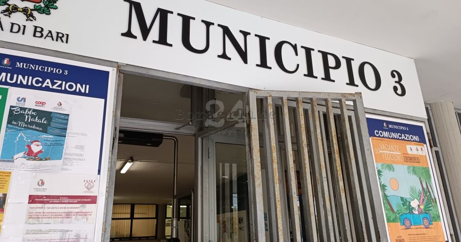 municipio 3