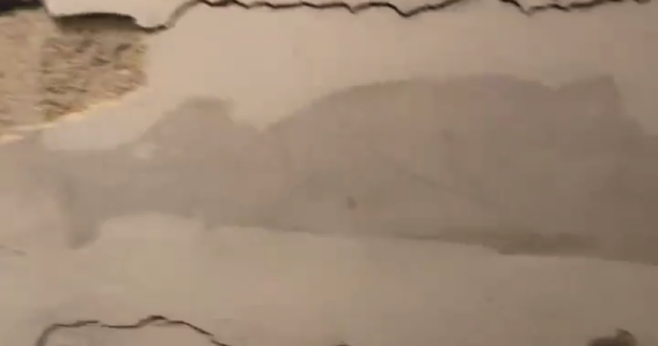 muri palazzi carbonara