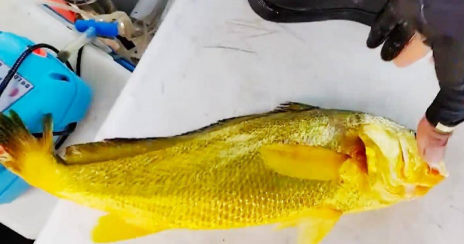 foto sportello diritti