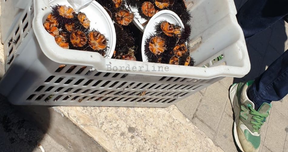 operazione guardia costiera