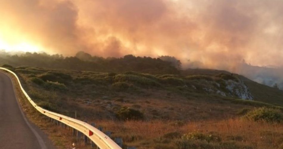foto quotidiano di Puglia