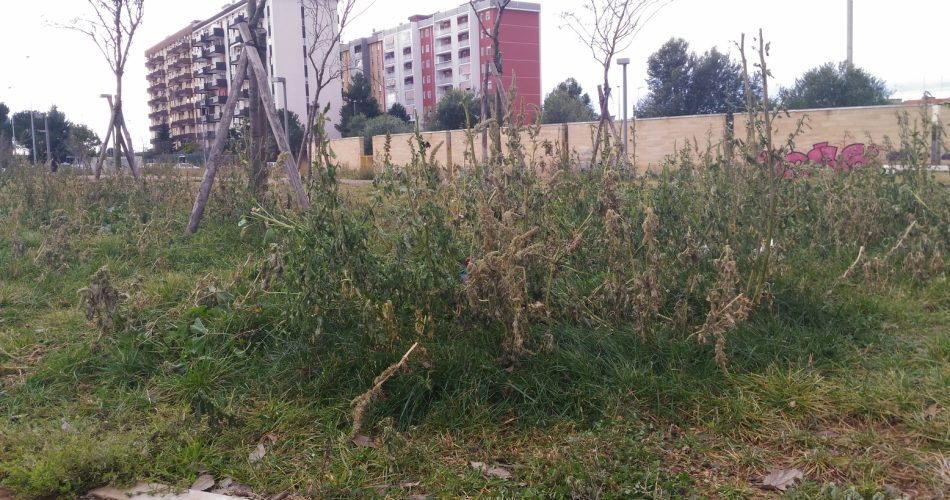 Lo stato di abbandono del parco di Loseto