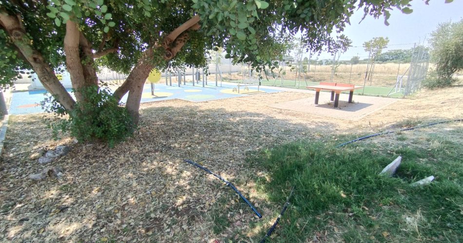 palese playground