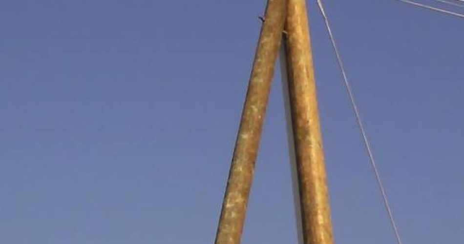 palo