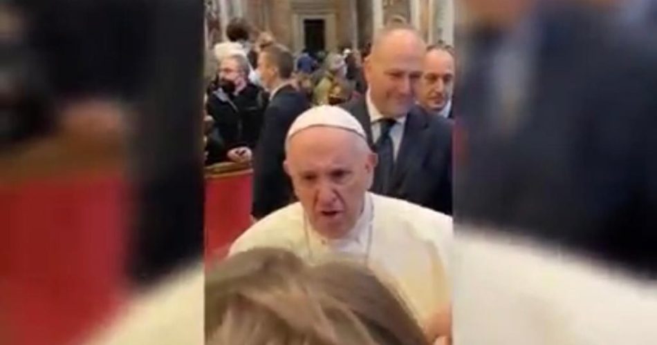 papa e puglia papa e puglia