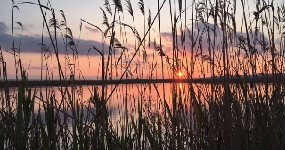 Parco Nazionale del Gargano, Oasi lago Salso L'Oasi lago Salso nel Parco Nazionale del Gargano (Credits Ansa)