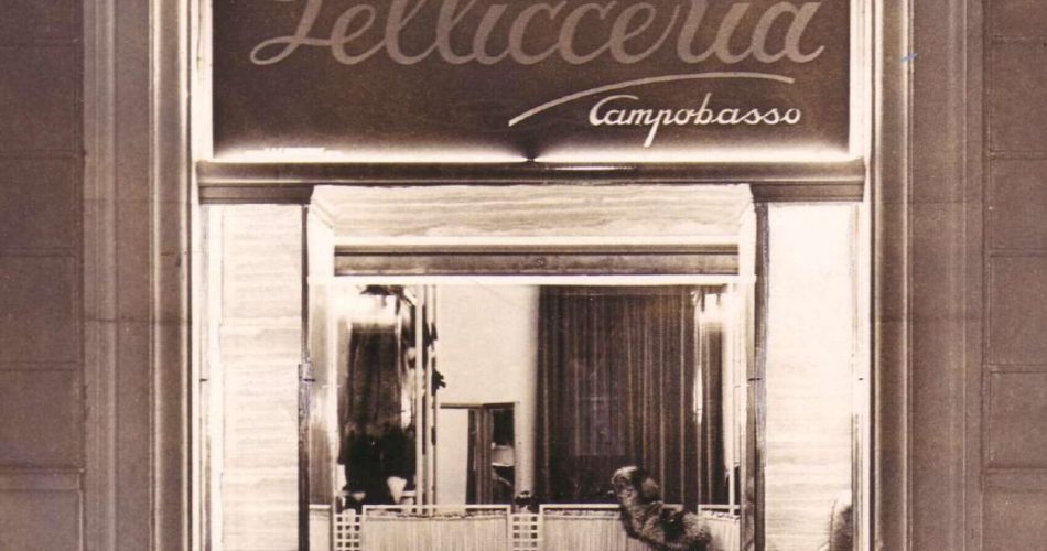 pellicceria campobasso