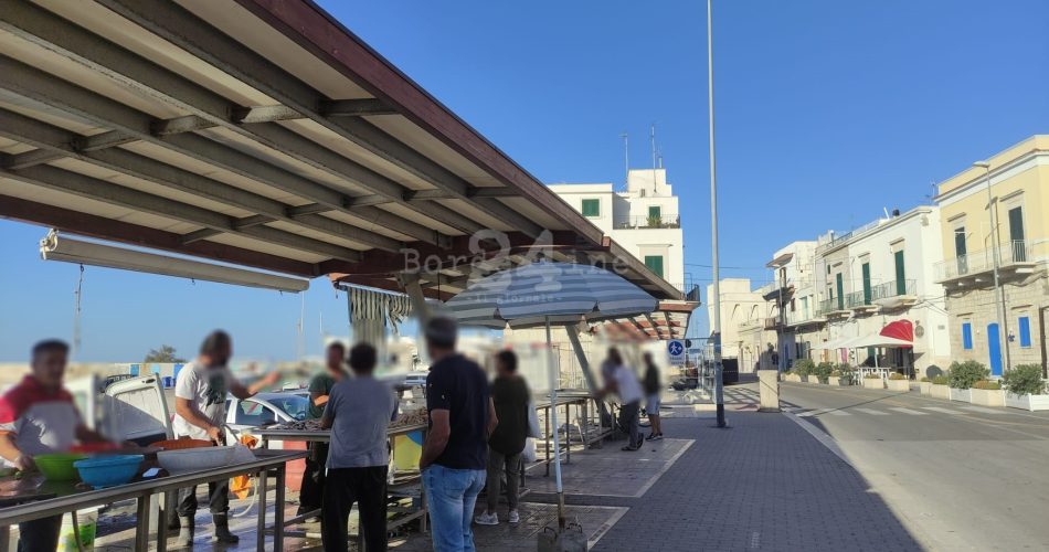 pescatori santo spirito lavori