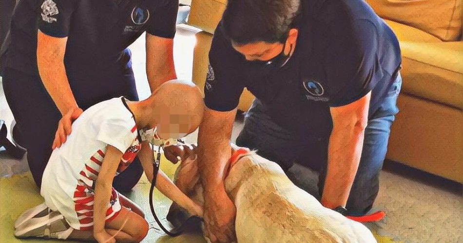 pet terapy policlinico bari