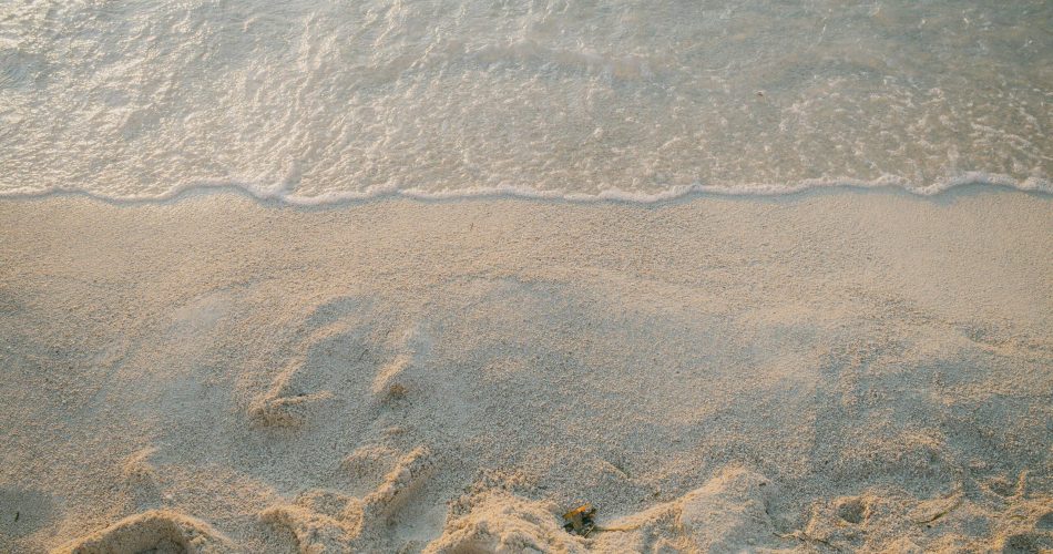 pexels-arlindphotography-33079382