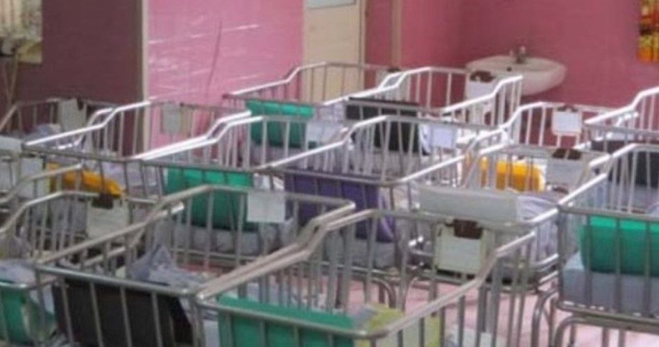 photo5895255661221098610