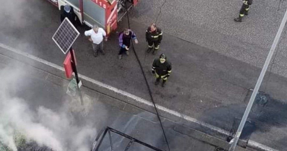 photo5974256001173534009