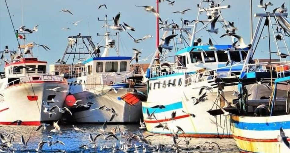 barche pescatori santo spirito
