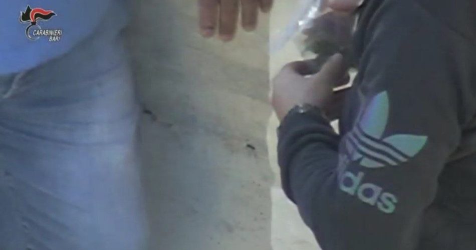 photo_2022-07-04_15-21-50