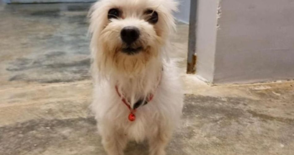 photo_2022-07-11_14-07-20